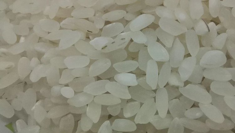 Индия отправляется в новую рисовую одиссею, ориентируясь на 26 новых мировых рынков