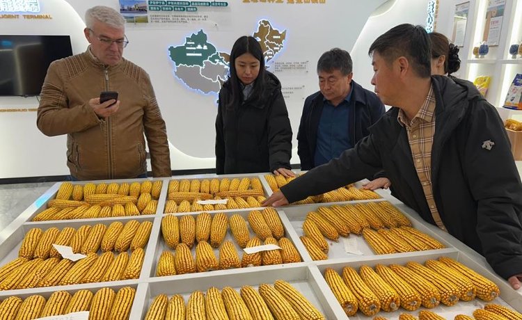 В Китае представитель НЦЗ имени Лукьяненко укрепил международное агросотрудничество