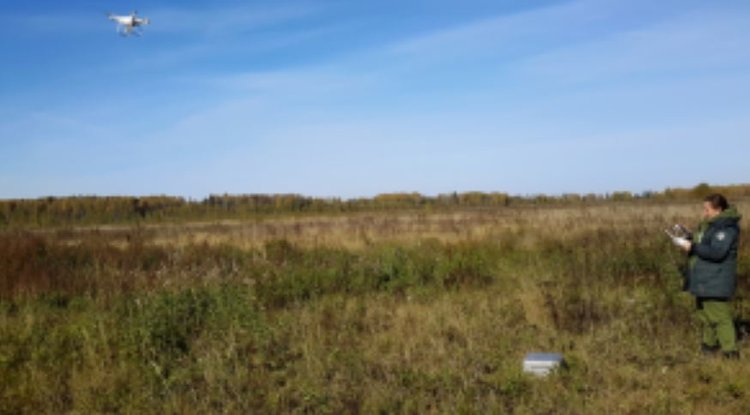 Заросли сорняков на полях хорошо видны с дронов - фото