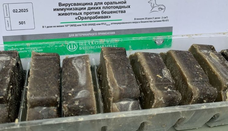 Отечественные вакцины против бешенства используют в Вологодской области