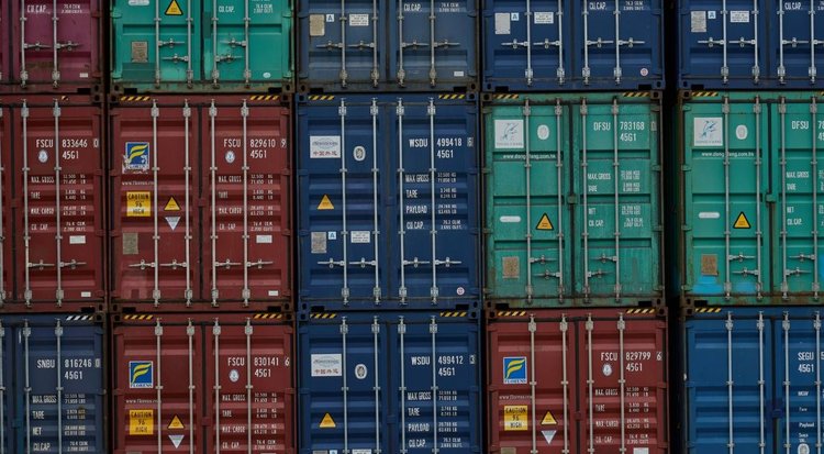 Агроэкспорт Московской области в Китай идет по нарастающей