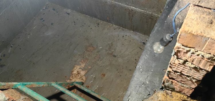 Слизни в погребе с картошкой: откуда взялись и что делать - фото