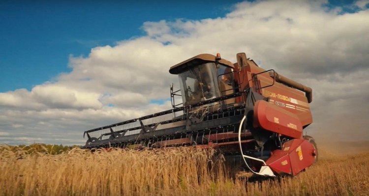 Итоги уборочной 2025 в Пермском крае - фото