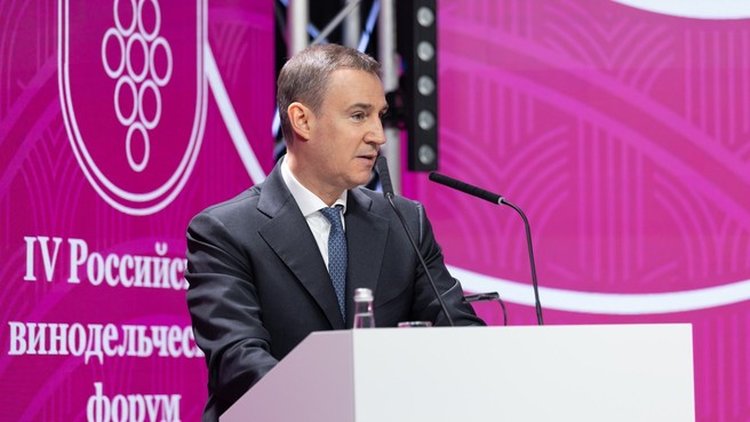 Россия демонстрирует один из самых высоких темпов прироста площади виноградников