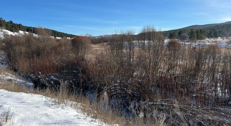 В Бурятии возобновят метод полива наледью
