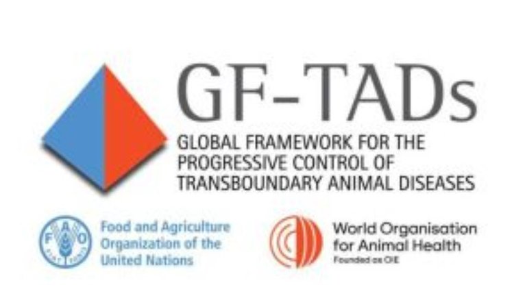 Борьба с ящуром и чумой мелких жвачных животных — задача международного масштаба