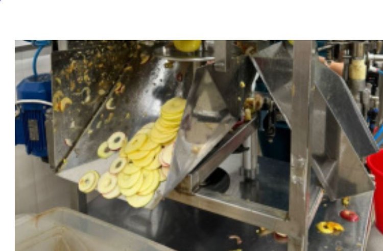 Яблочный сад — не только плоды: но чипсы и пастила