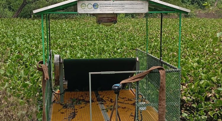 Для борьбы с инвазивным водным сорняком изобрели эко-комбайн и технологии переработки - фото