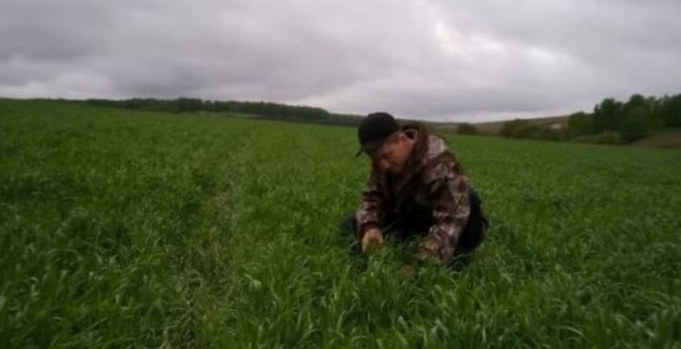 Что показал фитомониторинг полей 2025 в Башкортостане - фото