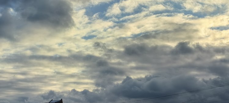 Оттепель в ноябре: что будет с озимым чесноком и луком