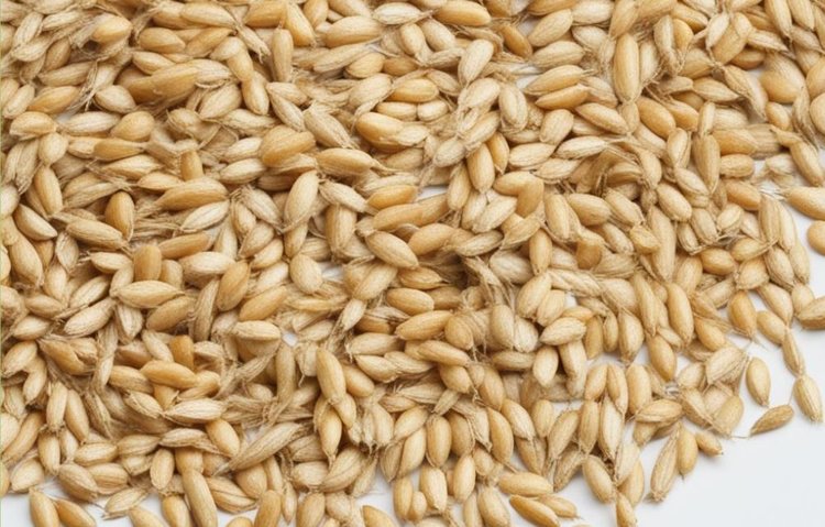 В Саратовской области заработали новые зерносушильные комплексы