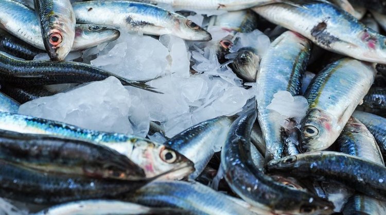 Удобрения из отходов рыболовства и аквакультуры в фокусе нового проекта ЕС - фото