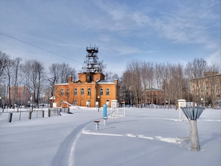 Какой будет эта зима и грянут ли жестокие морозы, рассказали эксперты Тимирязевки