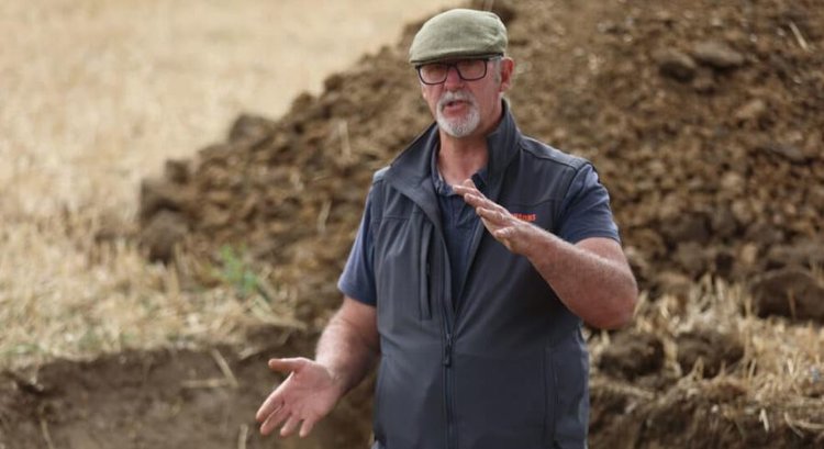 Новый штамм желтой ржавчины пшеницы стимулирует внедрение смесей сортов