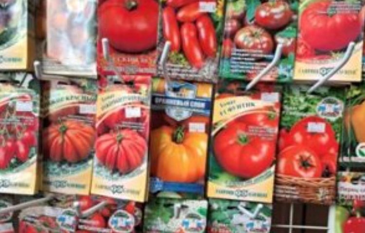 Какие семена и саженцы несуществующих культур чаще всего выявляют?