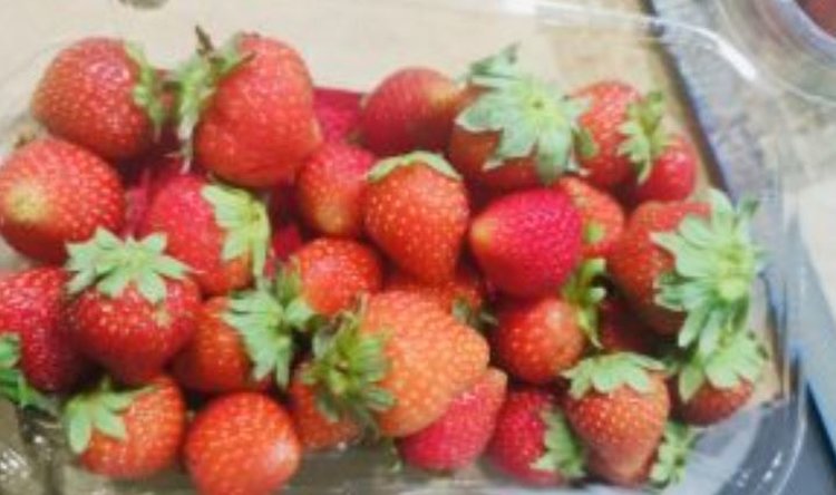 Более 2 тонн египетской клубники уничтожили из-за трипса - фото