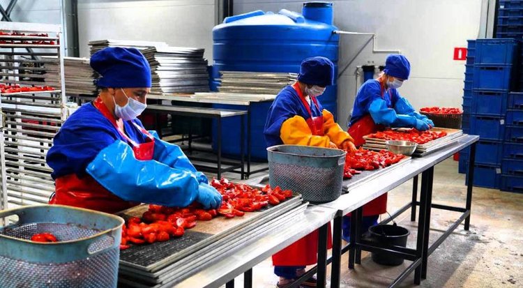 В Дагестане выстроена эффективная система притока инвестиций в АПК - фото