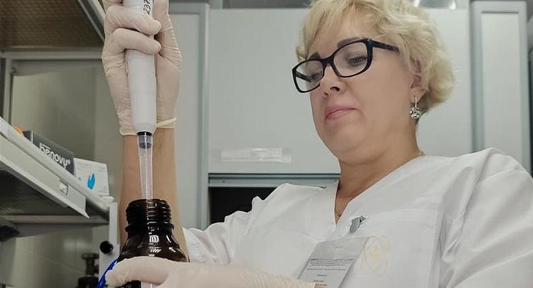 Уборка подсолнечника на Кубани и в Адыгее почти завершилась: а что с качеством урожая? - фото