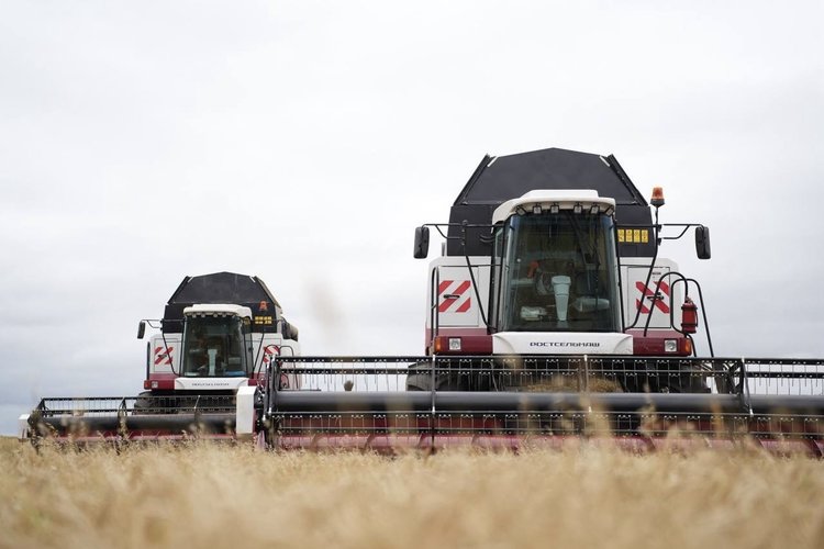 Об аграрных рекордах 2025 заявила Иркутская область - фото