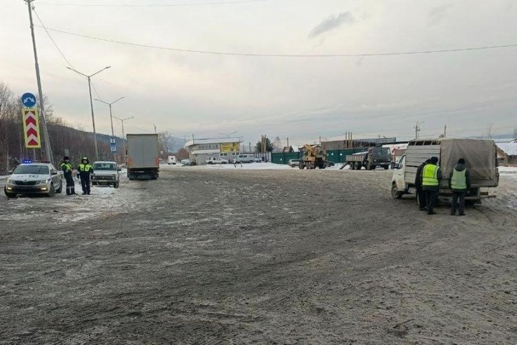 На границе Иркутской области установлен ветеринарный КПП по предотвращению пастереллеза - фото