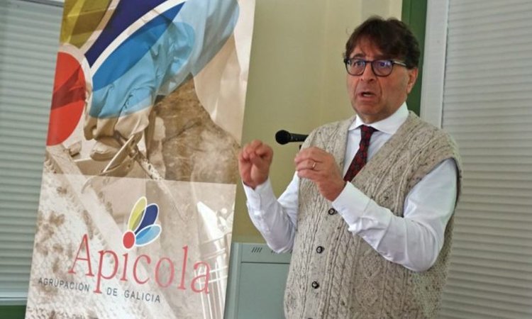 Правильное использование щавелевой кислоты против клещей Варроа