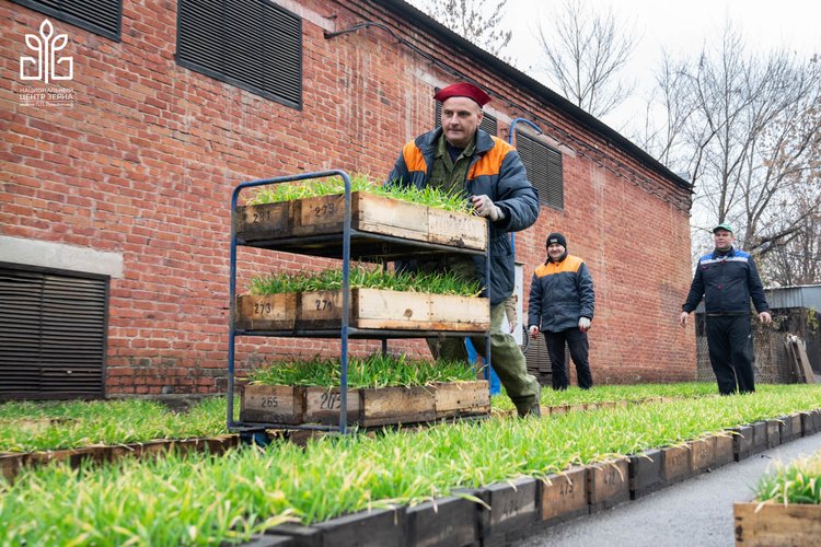 Первые линии ячменя и овса селекции НЦЗ имени Лукьяненко отправились на проморозку 