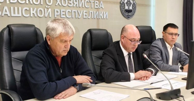 Каким будет Общероссийский аукцион племенных животных 2026