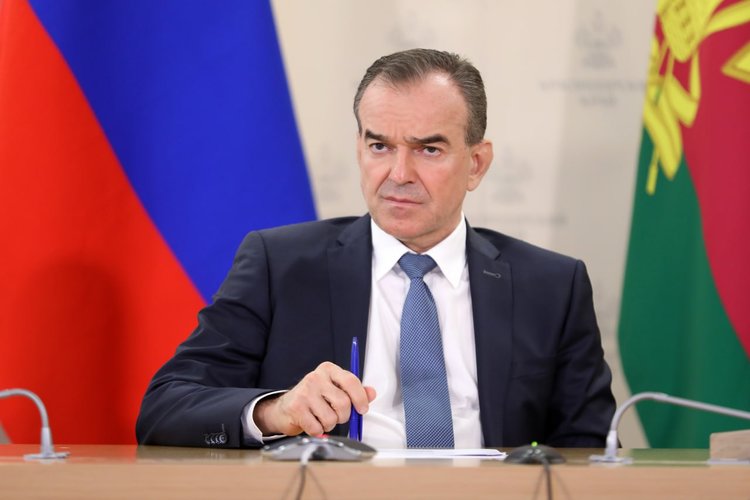 Под новый урожай 2026 краснодарские аграрии засеяли озимыми 1,8 млн гектаров: всходы есть - фото