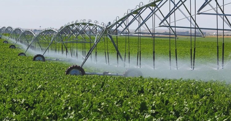 Самарская область взяла курс на эффективное развитие мелиорации: рассматриваются фосфогипс и доломит