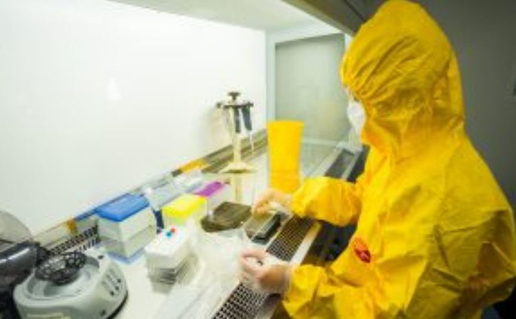 Спасти всех кошек мира от панлейкопении поможет разработка «ВНИИЗЖ»