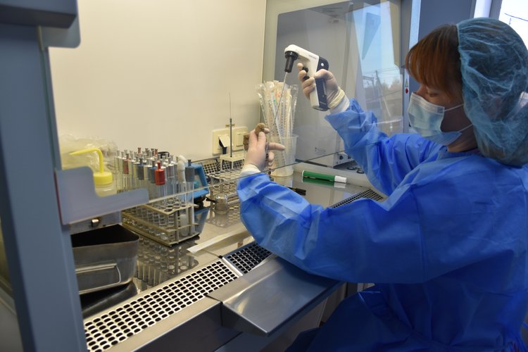 В тонне пастеризованного молока нашли золотистый стафилококк - фото