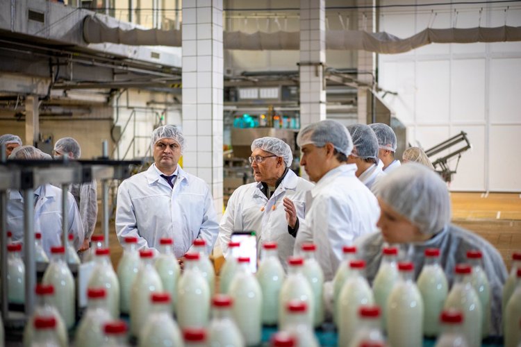 5 млрд рублей в модернизацию молочного завода в Башкортостана готов портатить инвестор - фото