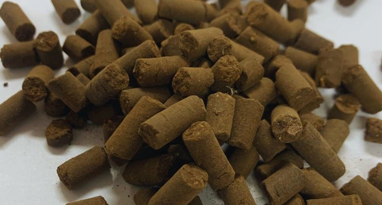 Гранулированный формат компоста позволит стимулировать внедрение органики в реальный сектор