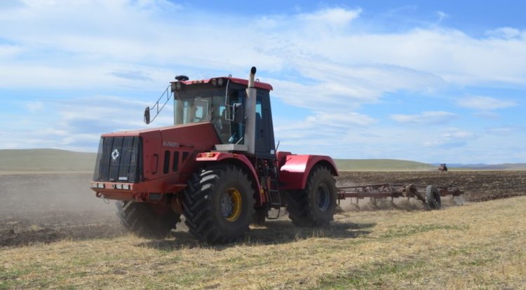 Забайкальские аграрии в 2025 году освоили 13 тысяч залежных гектаров - фото