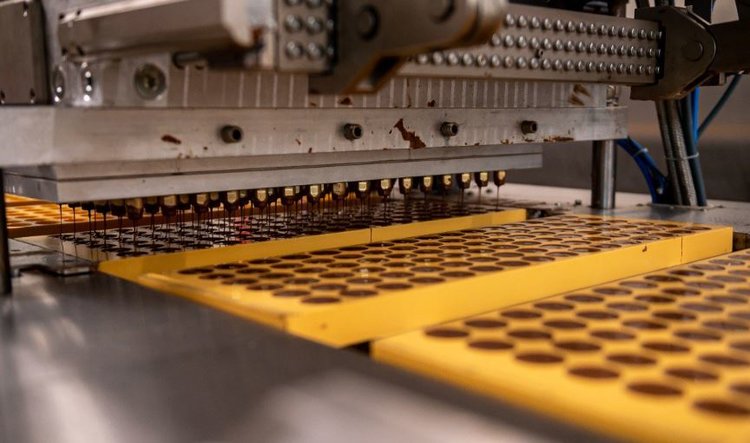 Шоколадные раскраски для малышей к Новому году придумали кондитеры Подмосковья