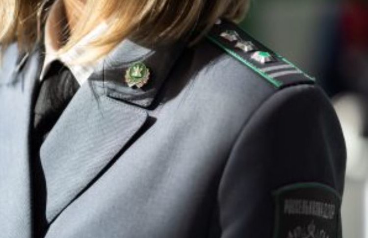 Соевая нематода угрожает посевам в Еврейской автономной области