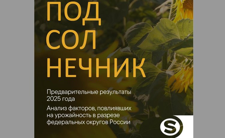 Семена подсолнечника отечественной селекции демонстрируют стабильную урожайность на фоне глобальных климатических рисков