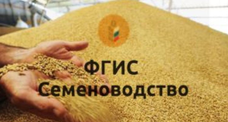 Напоминание о новых правилах учёта остатков семян в ФГИС «Семеноводство»