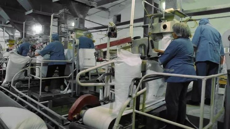 Урожайность сахарной свеклы в Башкортостане в 2025 году вышла на рекорд