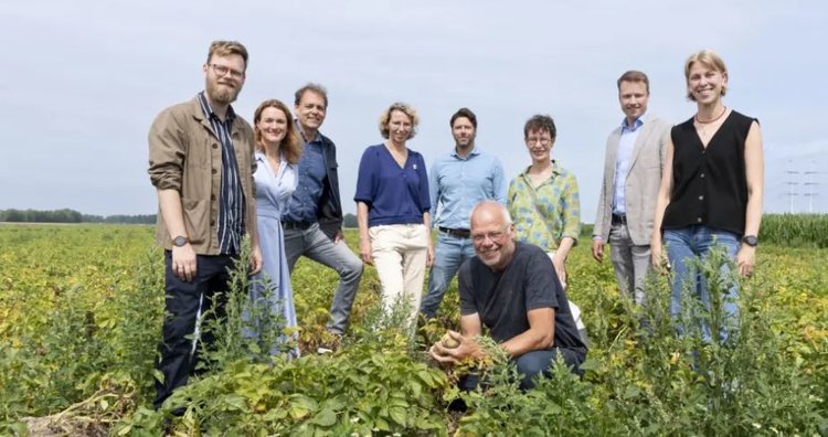 Пилотный проект по значительному сокращению пестицидов на фруктах и овощах в Нидерландах успешен