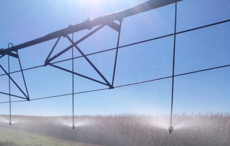 Тамбовская область реализовала запланированные на 2025 год работы по гидромелиорации сельскохозяйственных угодий