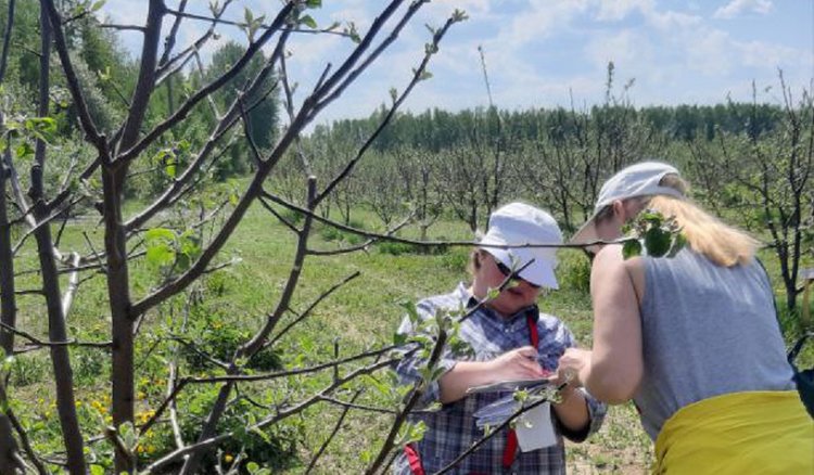Регистрационные испытания СЗР проводят во Владимирском межрегиональном филиале