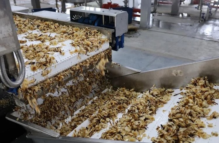 Краснодарский грибной комплекс в Усть-Лабинске запустил вторую очередь консервного завода