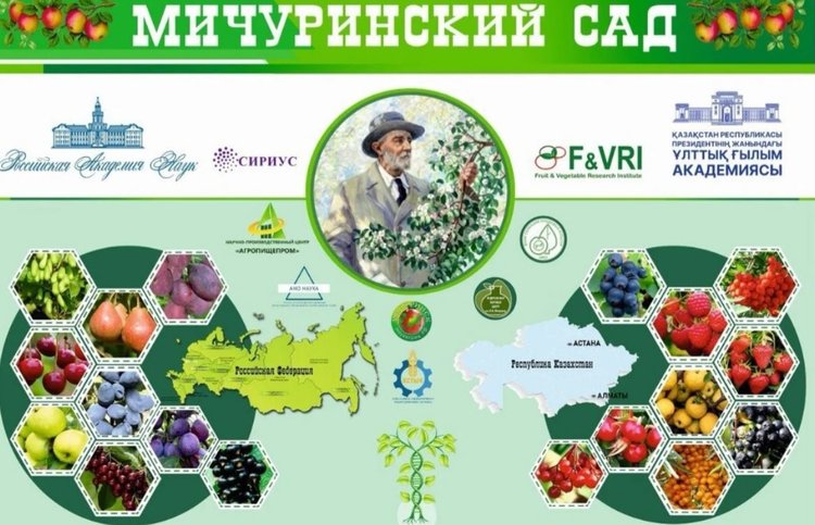 В Казахстане открыли «Мичуринский сад»