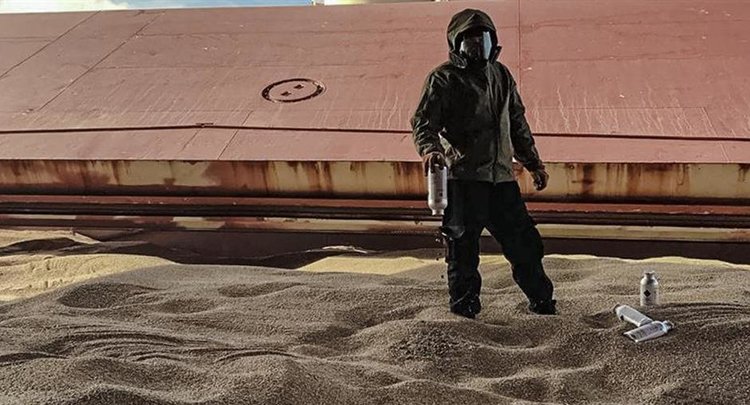 Для бесперебойного экспорта российского зерна в Новороссийском филиале ЦОК АПК работают круглосуточно