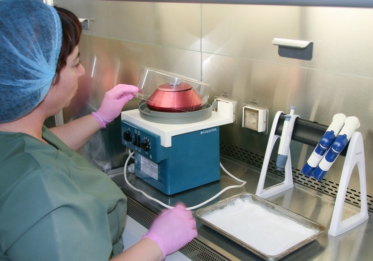 Вот к чему приводят плесневые корма в рационе стельных коров: теленка не получите