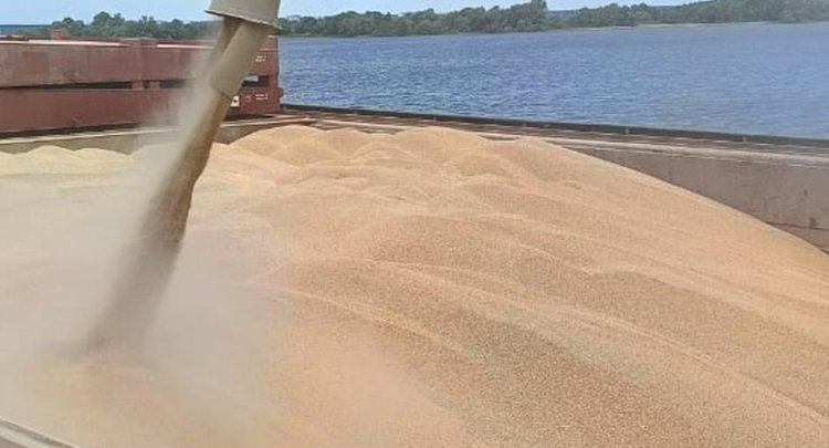 В Татарстане специалисты ЦОК АПК проверили свыше 180 тысяч тонн зерна, перевозимого водным транспортом