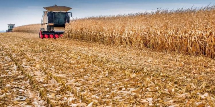 5,8 млн тонн зерна у тамбовских аграриев к 17 декабря