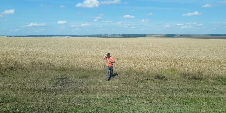Парадокс замены пшеницы на клевер: больше выбросов, но меньшее воздействие на климат