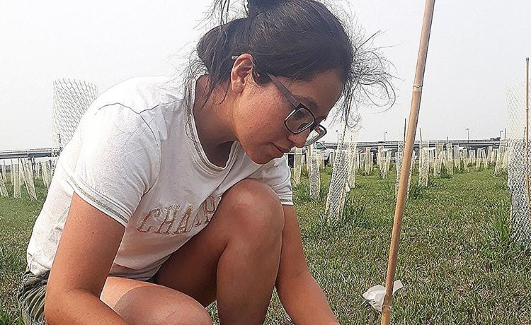 Взаимодействие геномов растений в климатоустойчивых гибридах определяет успех селекционера